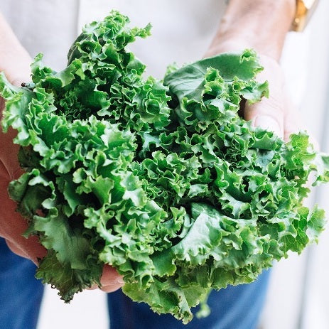 What are the Super Greens Powder Benefits?