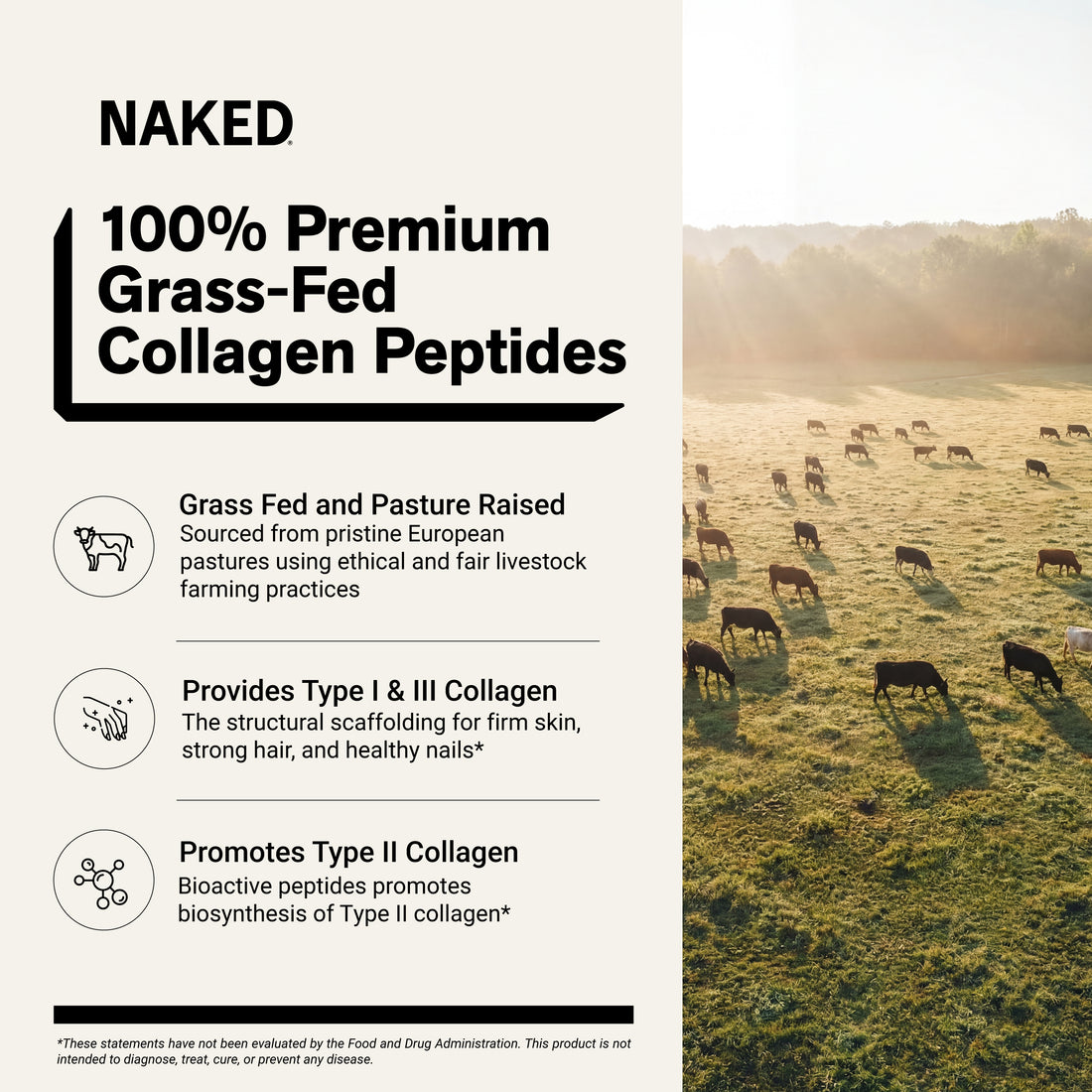 Collagen Peptides Packets | 20 Naked Collagen Packets