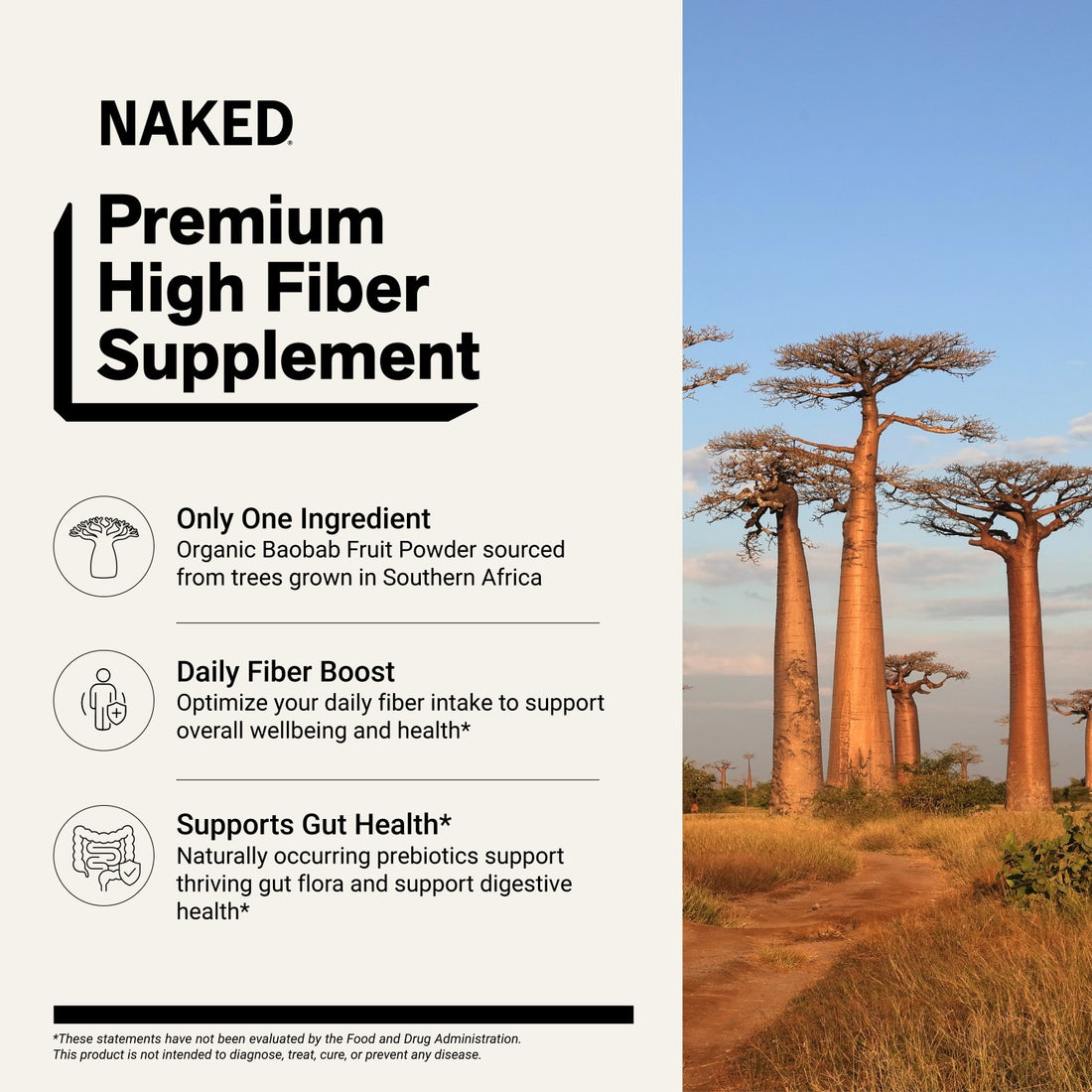 Organic Fiber Supplement | Naked Fiber