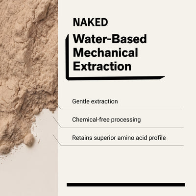 chemical-free processing water-based mechanical extraction pea protein powder