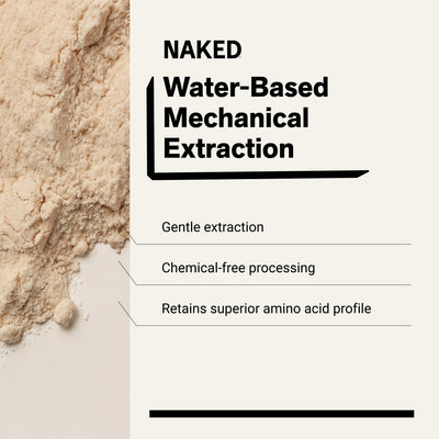 chemical-free processing water-based mechanical extraction pea protein powder