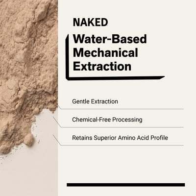 chemical-free processing water-based mechanical extraction pea protein powder