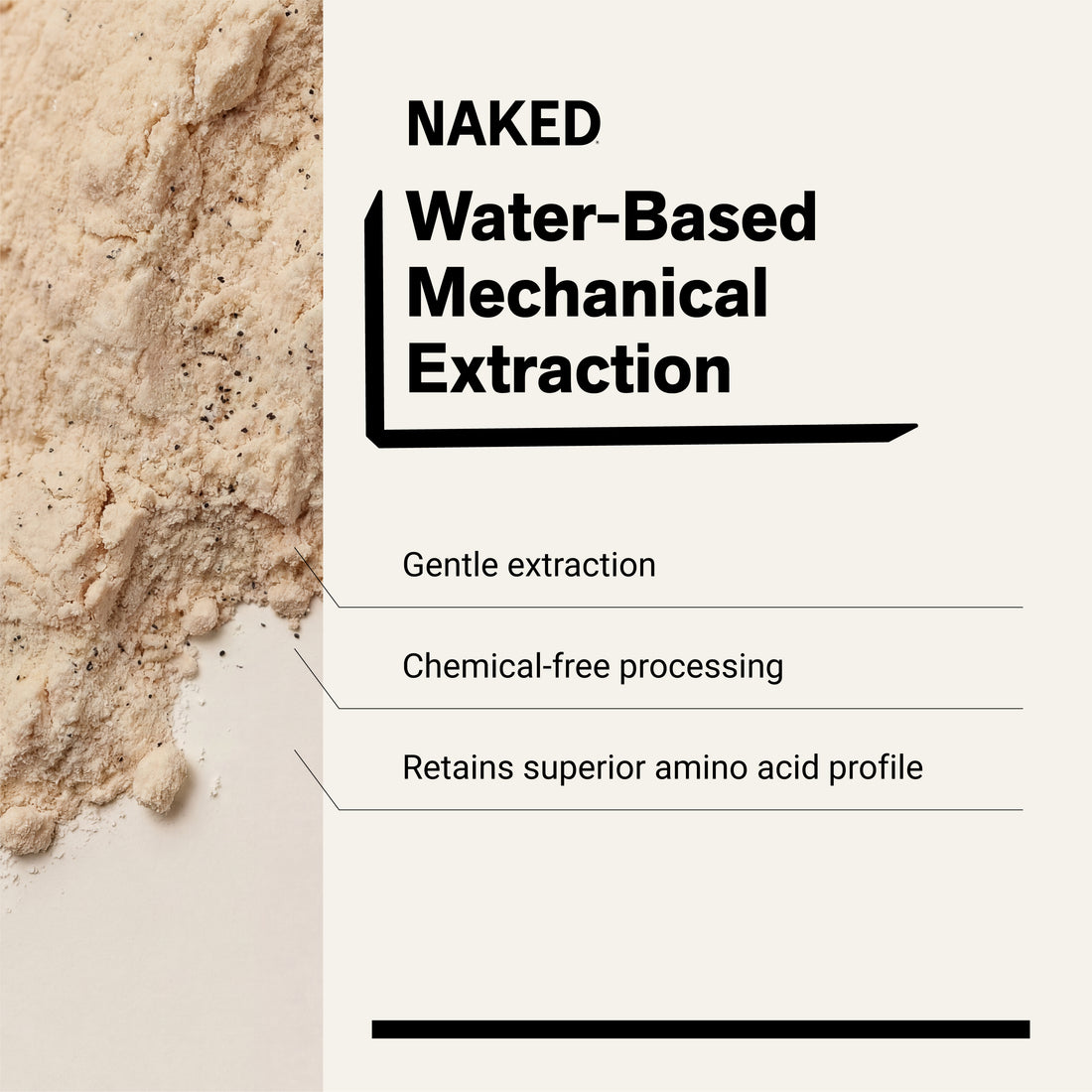 chemical-free processing water-based mechanical extraction pea protein powder