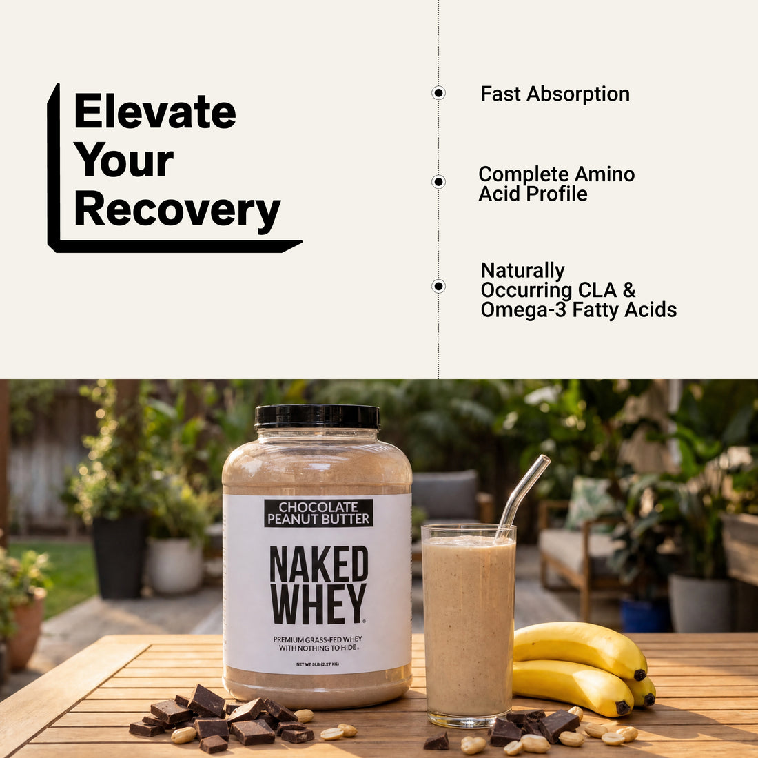 chocolate peanut butter whey protein shake isolate powder amino acid
