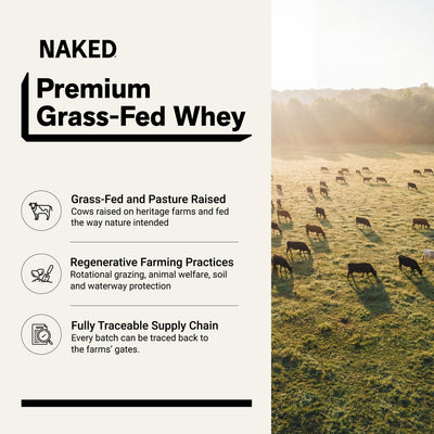 whey isolate protein powder clean ingredient gluten-free soy-free