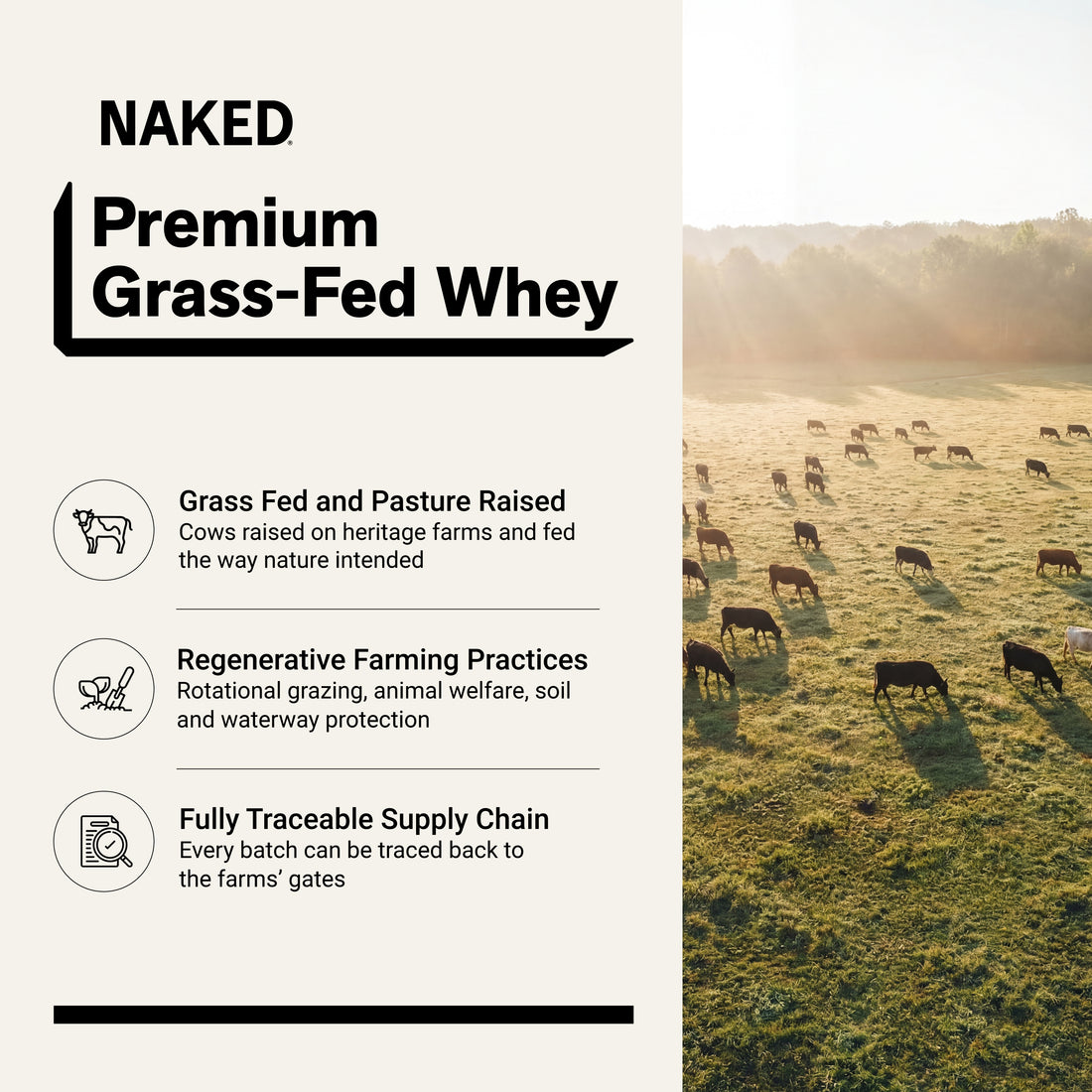 whey isolate protein powder clean ingredient gluten-free soy-free