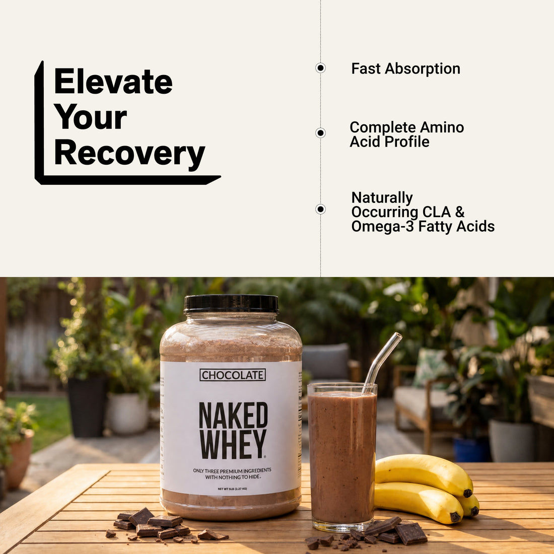 chocolate whey protein shake isolate powder amino acid