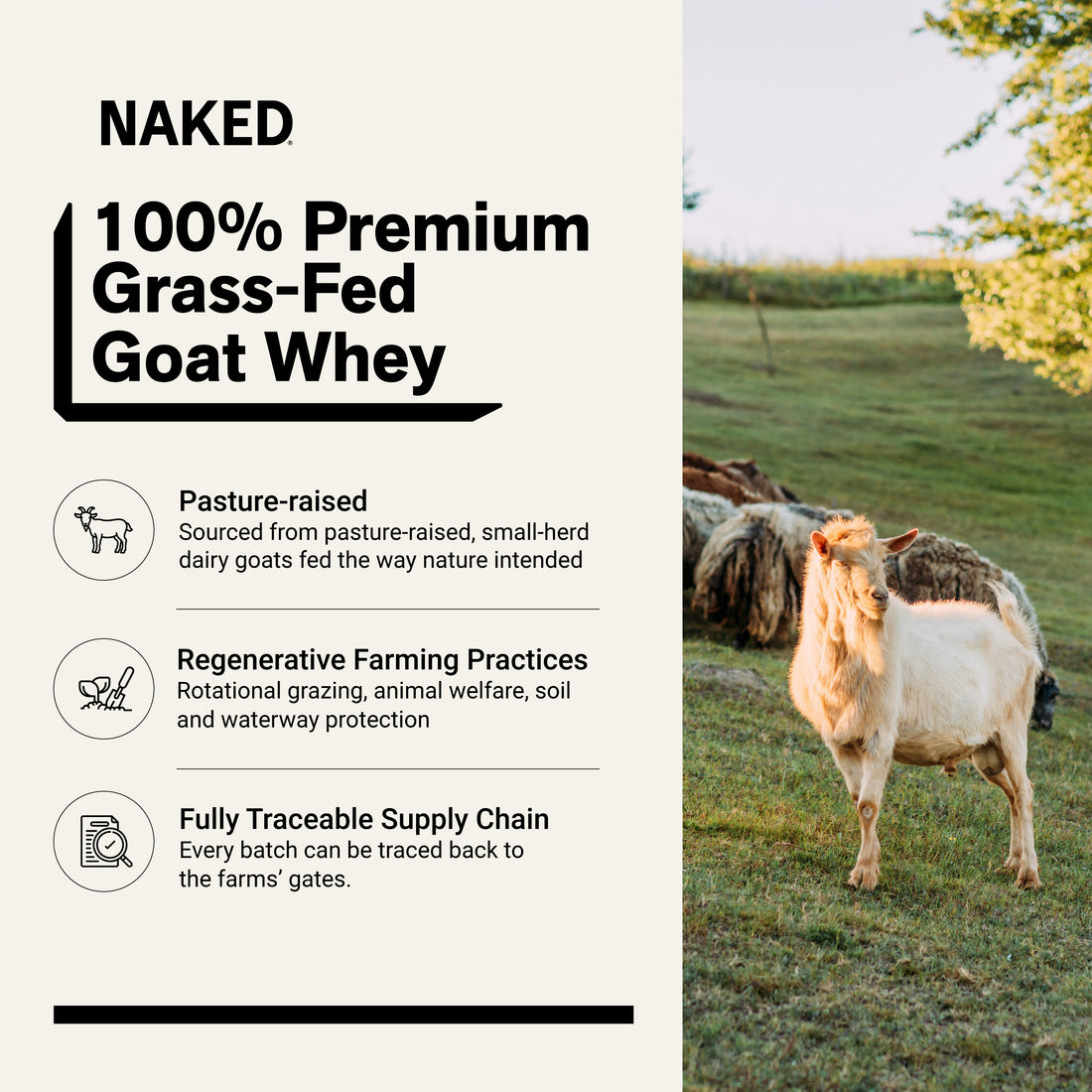 grass fed goat whey protein source non-gmo