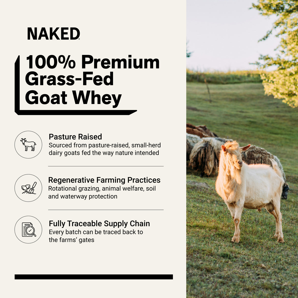 Goat Whey Protein Powder 2lb