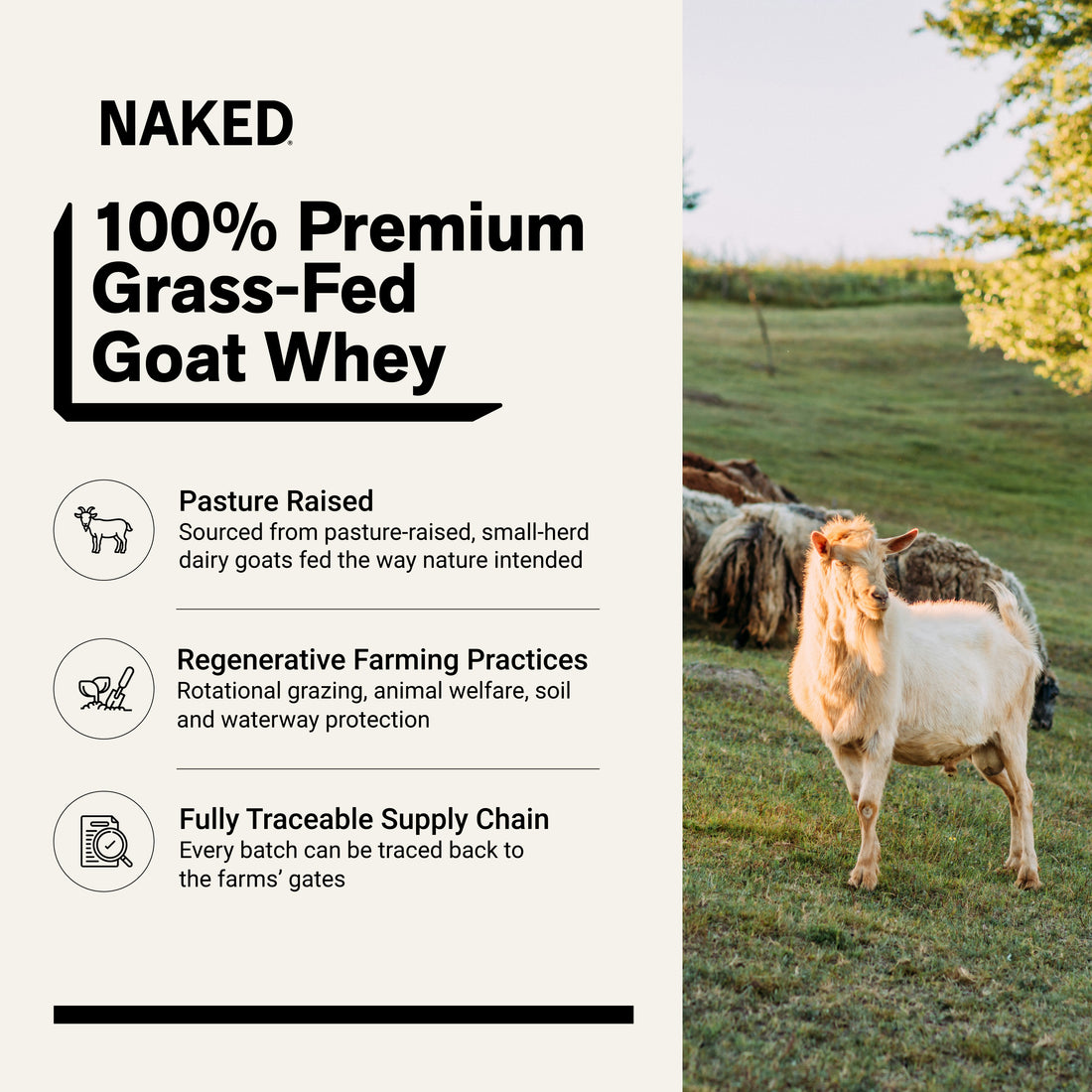 grass fed goat whey protein source non-gmo