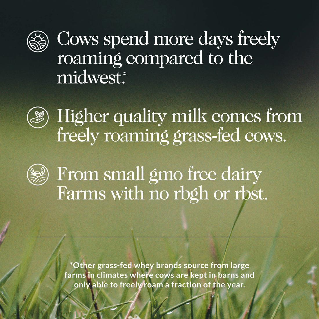 grass fed mass weight gainer