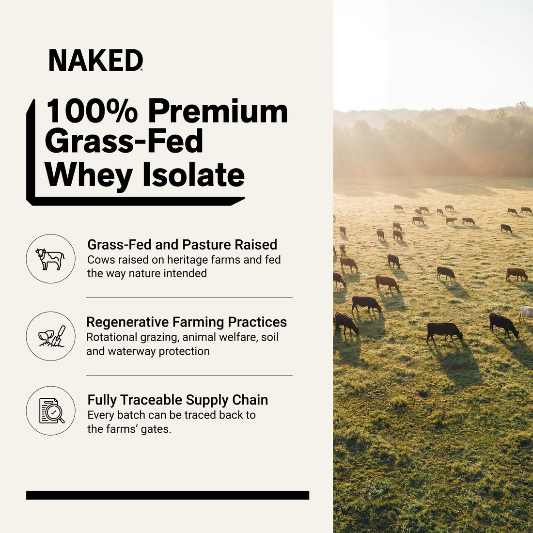 grass fed whey protein source non-gmo