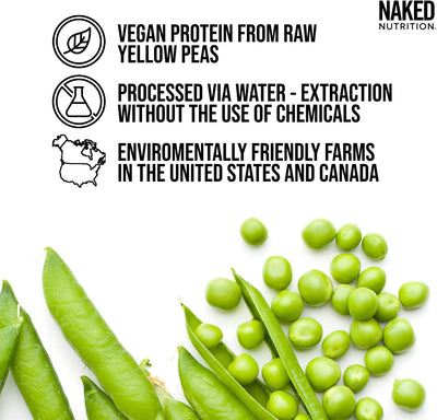 vegan chocolate peanut butter protein