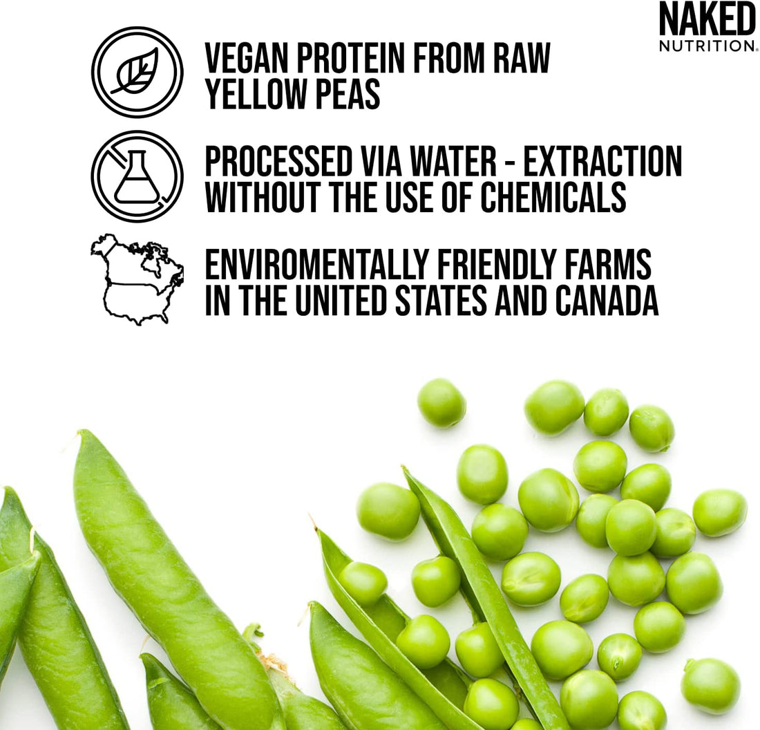 vanilla shake protein powder