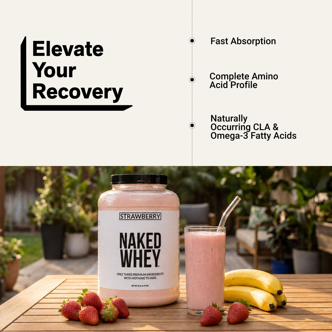 amino acid whey protein omega 3