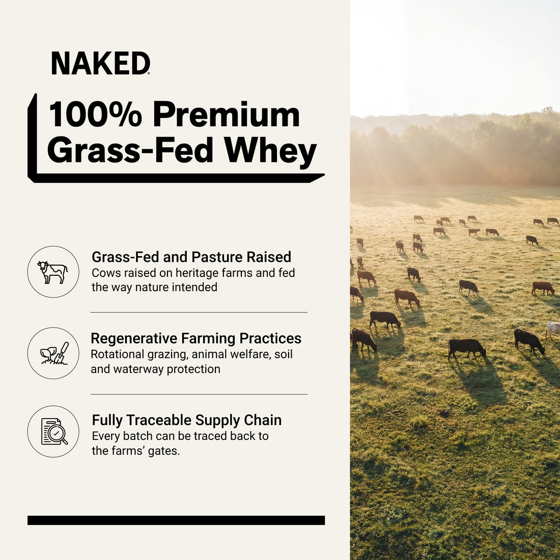grass fed whey protein source non-gmo
