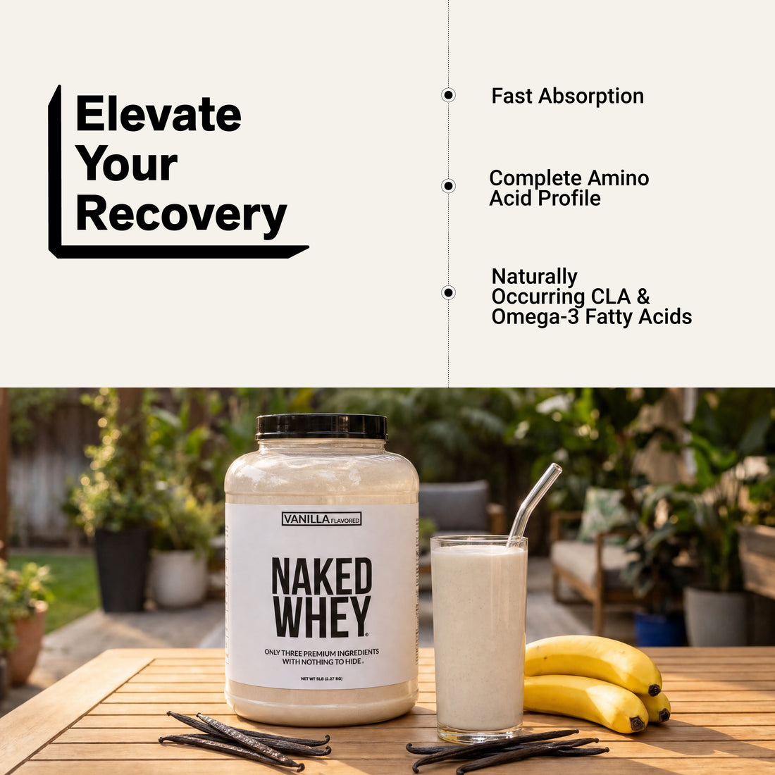 amino acid whey protein omega 3